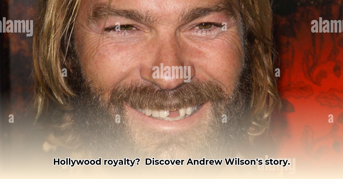 andrew-wilson